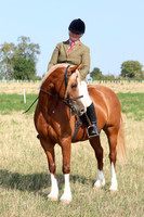 LAR_7106