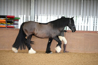 Class 11 - Best Snr Handler