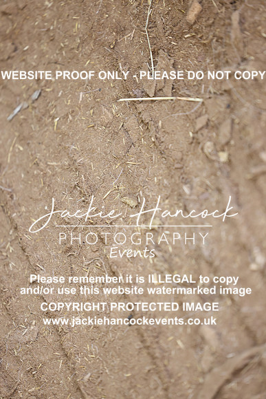 R5JH0369