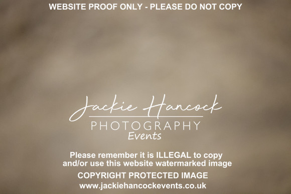 R5JH6848