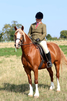 LAR_7103