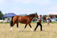 LAR_7923