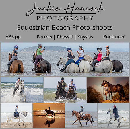 Ynyslas Beach - further dates coming soon
