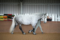 Class 9 - Inhand Best Turned Out