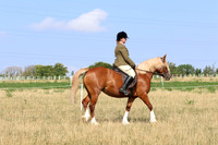 LAR_7112