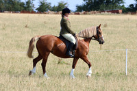 LAR_7108