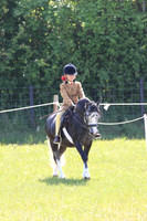 LAR_6305