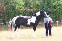 10.08.25 HDRC Show, Pengethley, Ross-on-Wye