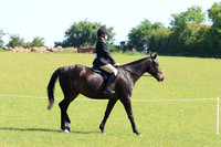 LAR_6199