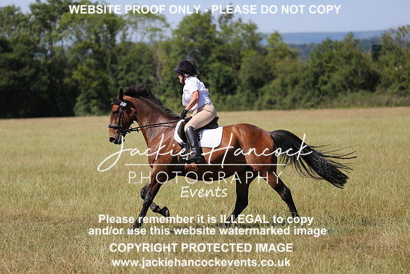 JHP_0385