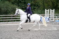 Class 7 - Prelim 2/90cm Arena 2