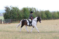 Ridden Showing