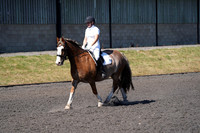DSC01040