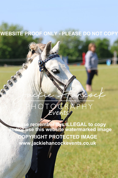 LAR_6255