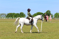 LAR_6419