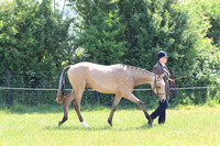 LAR_6452