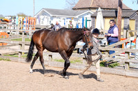 DSC00653-2
