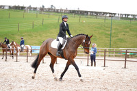 Class 5 - Novice T3 (13:18 - 14:18)