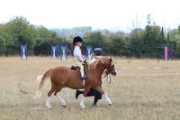 LAR_8203
