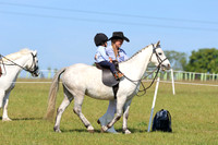 LAR_6191