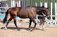 DSC00654-2
