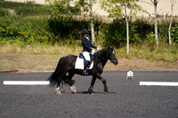 DSC00819