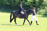 LAR_6311