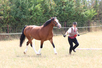 LAR_7920