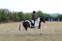 LAR_8199