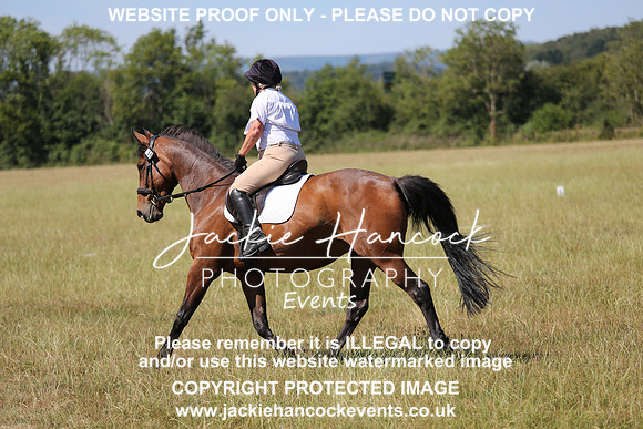 JHP_0395