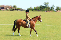 LAR_6194