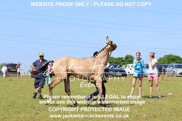 LAR_6467