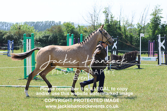 LAR_6464